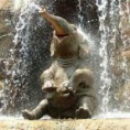 /album/fotogalerie-slon-africky/slon2-jpg/